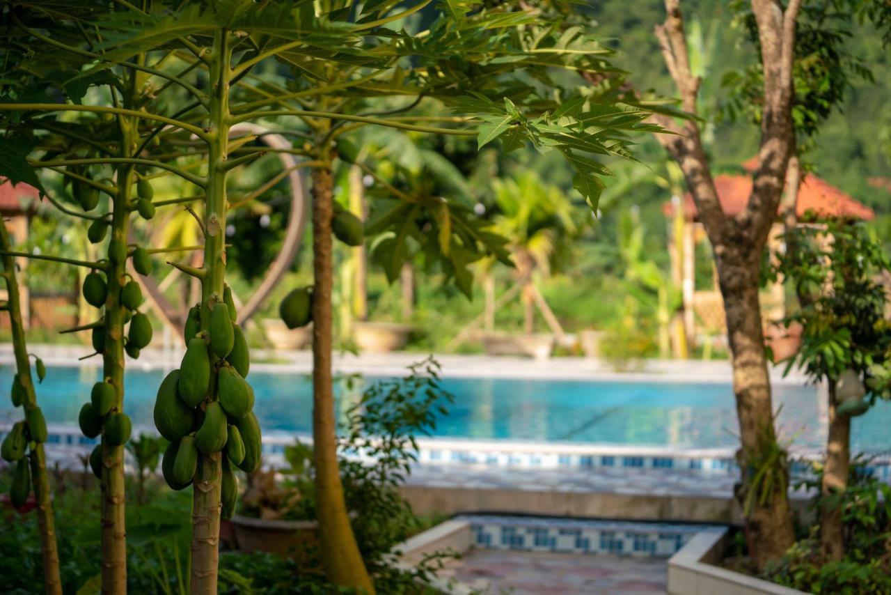 Tan Dinh Farmstay นิญบิ่ญ ภายนอก รูปภาพ