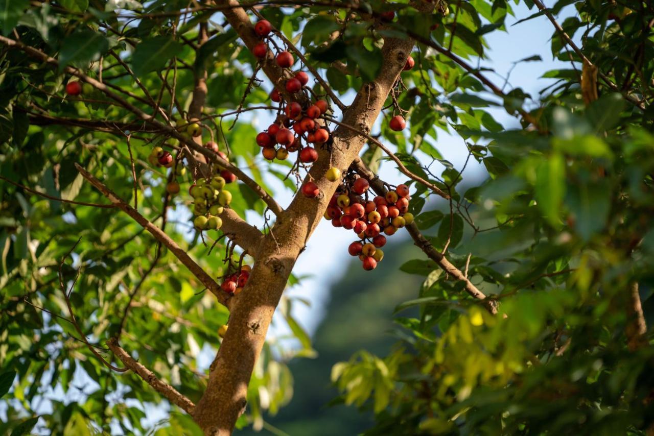 Tan Dinh Farmstay นิญบิ่ญ ภายนอก รูปภาพ