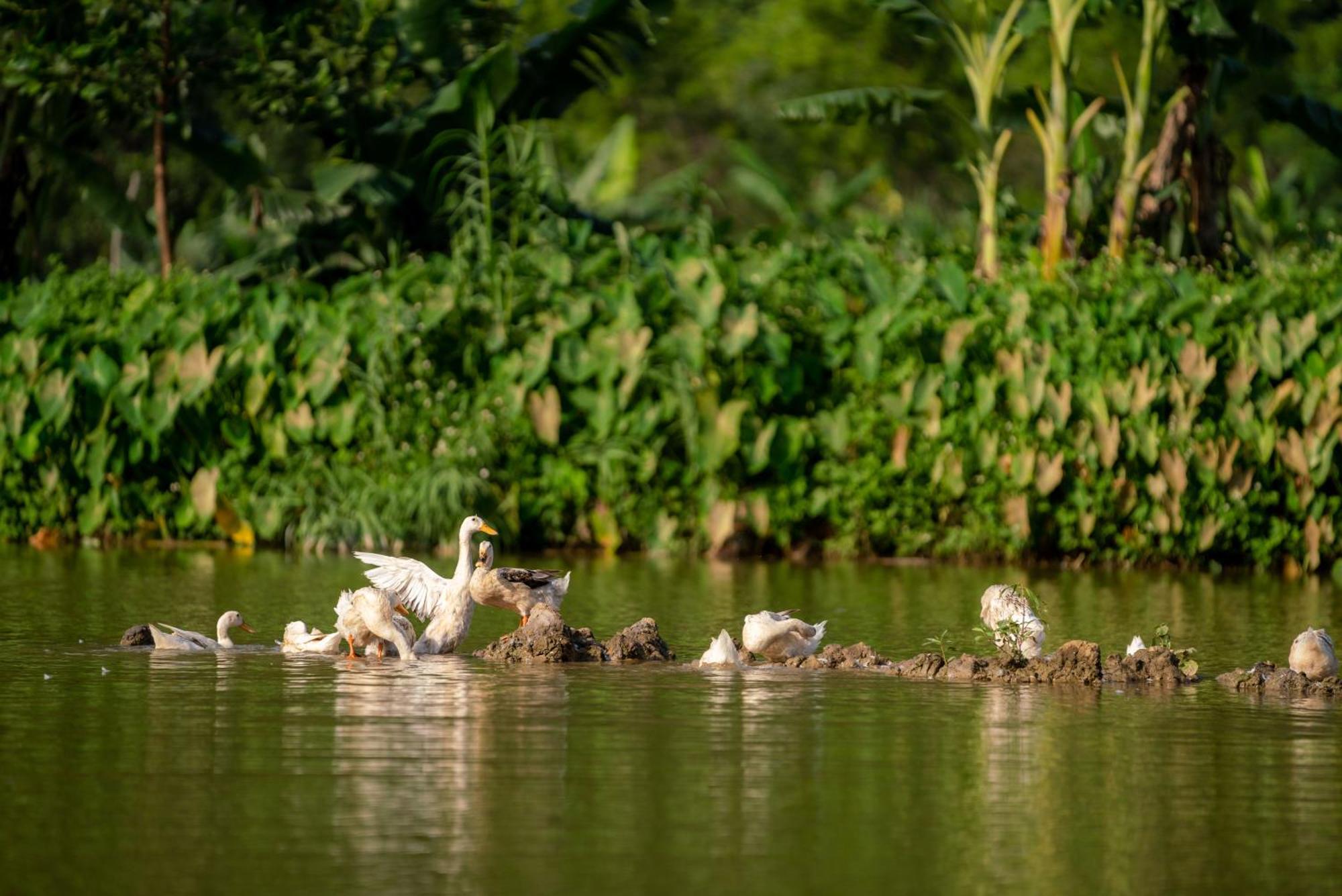 Tan Dinh Farmstay นิญบิ่ญ ภายนอก รูปภาพ